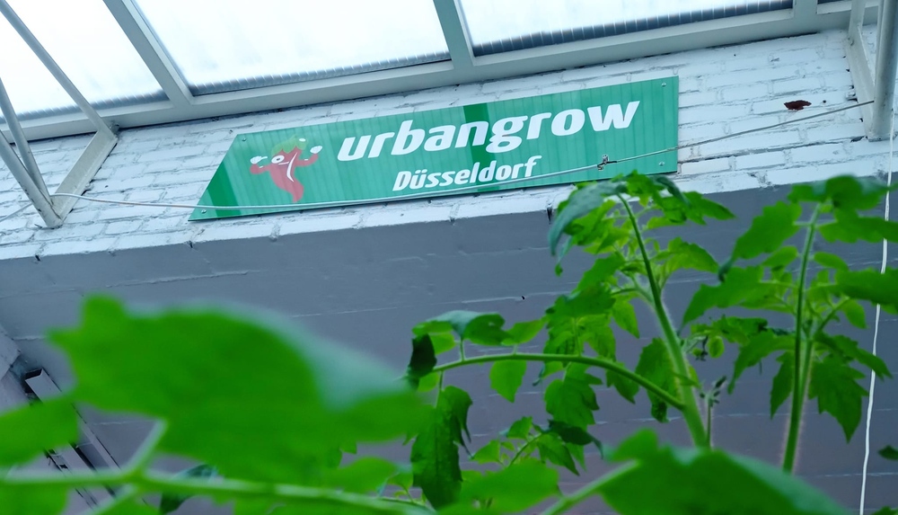 Urbangrow Düsseldorf