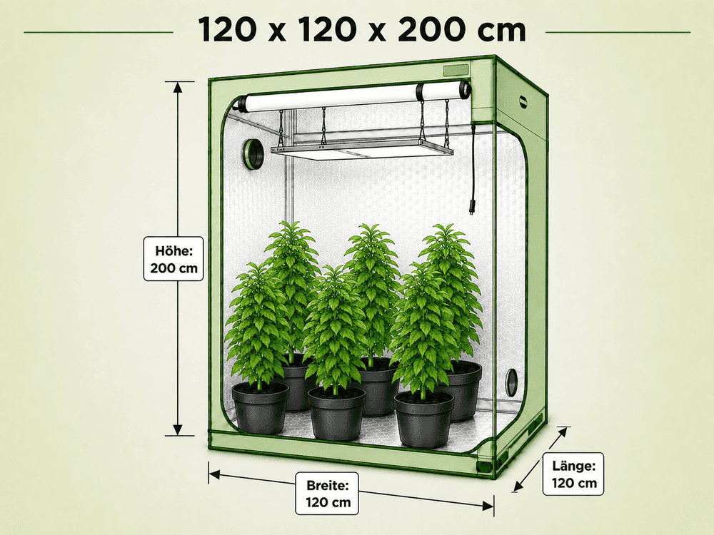Growbox 120x120x200 cm 