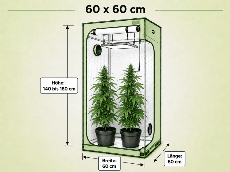 Growbox Komplettset 60x60 cm